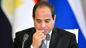 مستثمر فى الغزل والنسيج: تحركات السيسي تعيد مجد القطن المصري