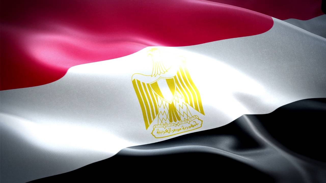 وزير الصناعة: فرص كبيرة للتعاون مع موزمبيق في 6 قطاعات صناعية وتجارية