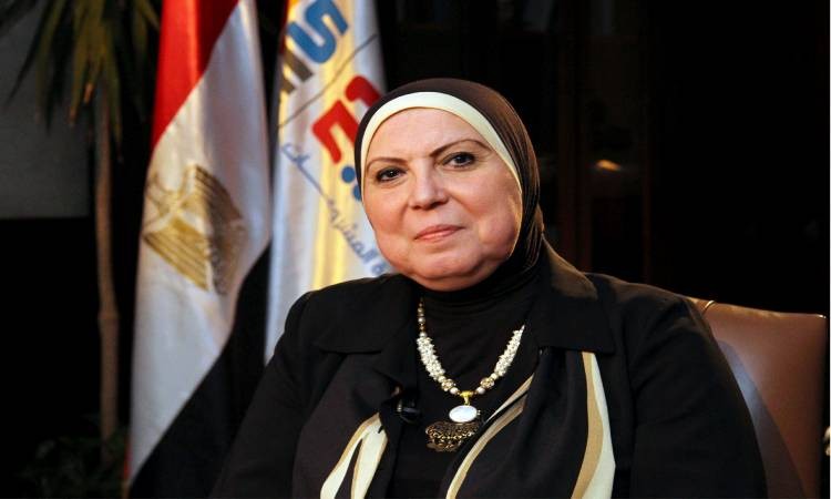 المجالس التصديرية تسعى لمناقشة عوائق المعارض الخارجية مع نيفين جامع