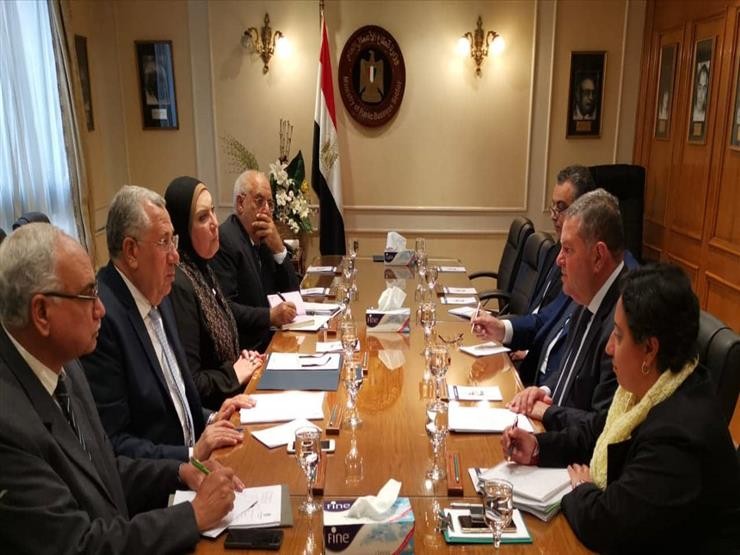 لجنة القطن توافق على تجربة زراعة قصير التيلة وفتح مناشئ الاستيراد